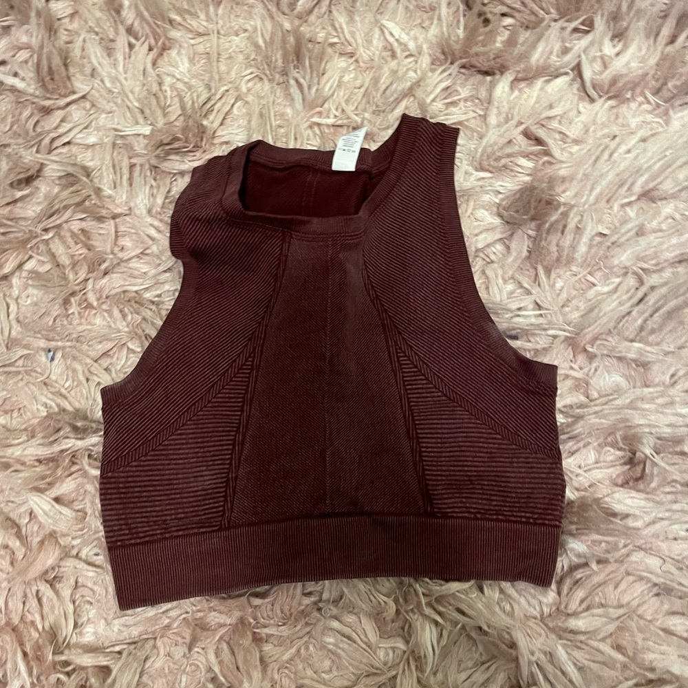 Aerie Crop Top